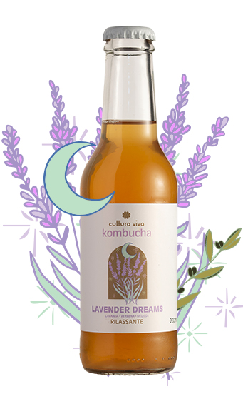Lavender Dreams Cultura Viva Kombucha